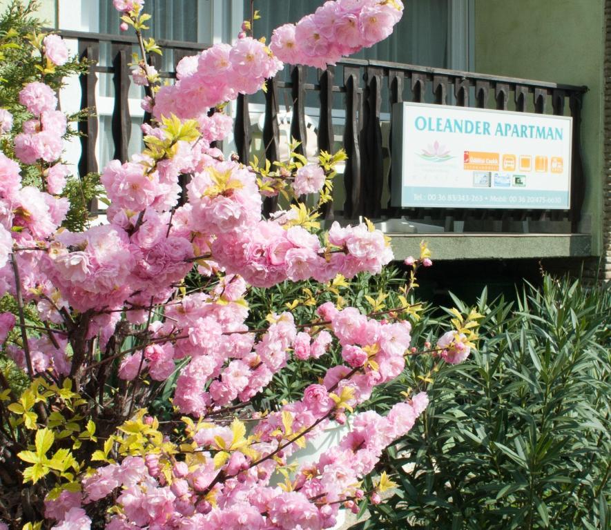 Oleander Apartman Hévíz Dış mekan fotoğraf